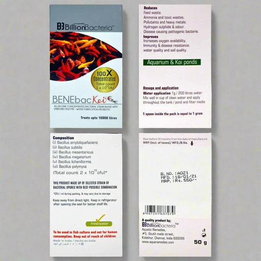 BENEbac Koi