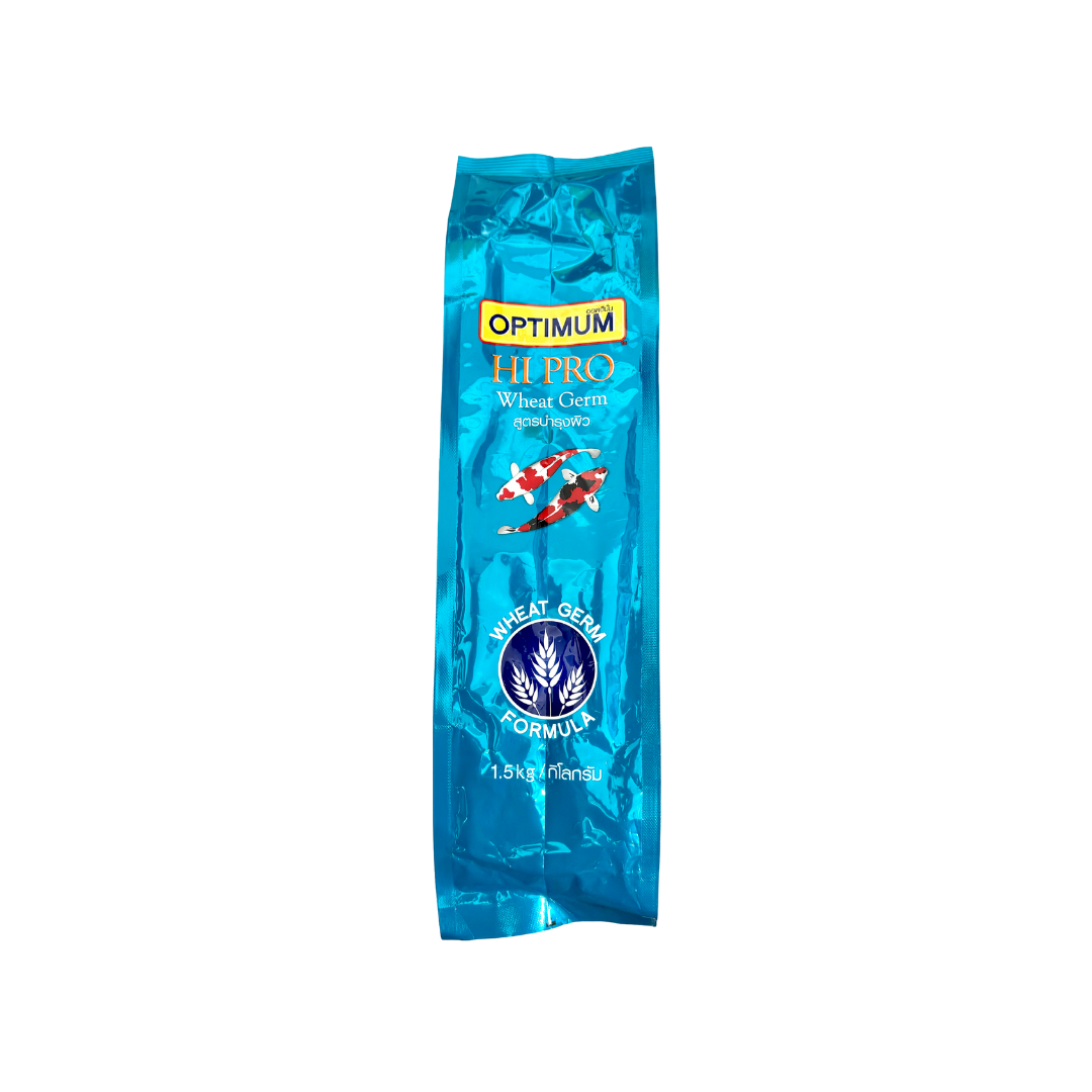 Koi eating Optimum Hi Pro Wheat Germ pellets