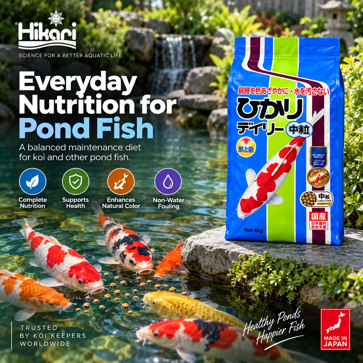 Hikari Economy graphic showing everyday nutrition for pond fish with koi in a pond